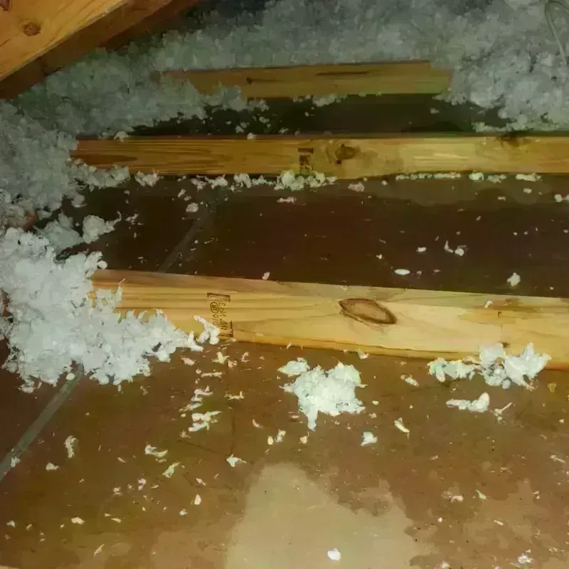 Attic Water Damage in Duson, LA